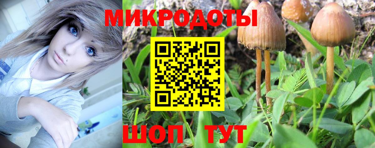 купить  сайты  Вход с VPN  Нерюнгри  Галлюциногенные грибы Psilocybe  Галлюциногенные грибы Psilocybe 