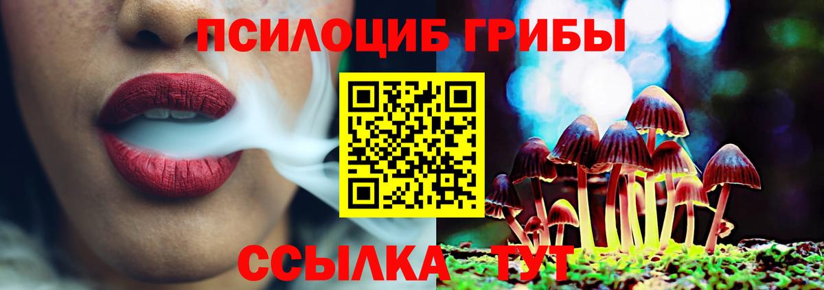 Галлюциногенные грибы прущие грибы Нерюнгри